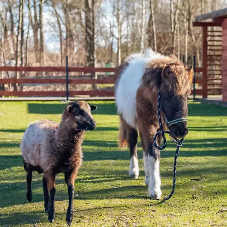 Vakantiehuis Stunning In With Sauna *