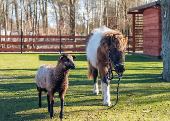 別荘 Stunning In With Sauna *